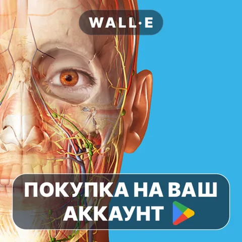 Human Anatomy Atlas 2026