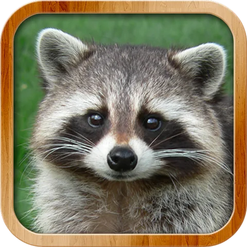 Kids Learn About Animals