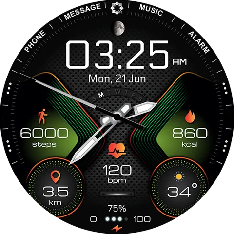 H310 Artistic Hybrid Watch