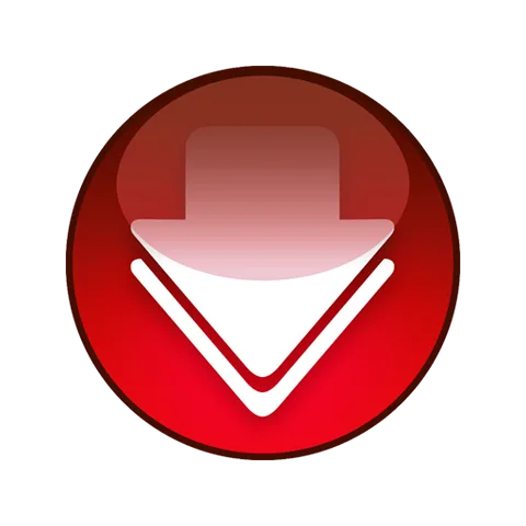 Video Downloader Pro