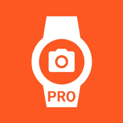 Camera Control for Wear OS