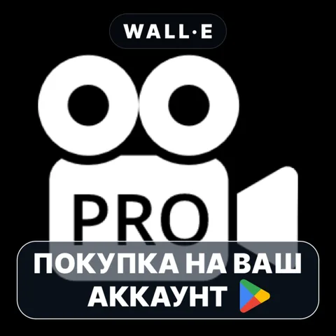 Dual Camera Record PRO
