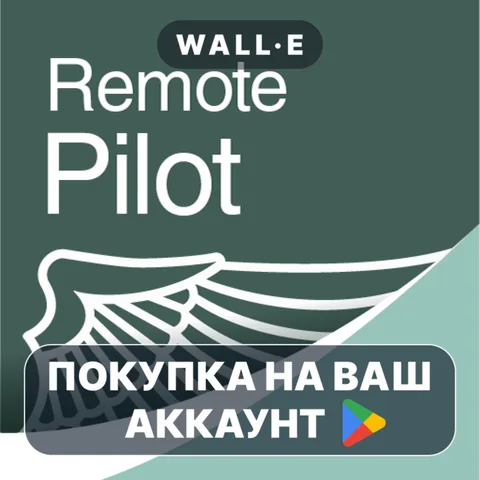 Prepware Remote Pilot