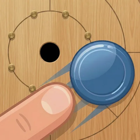 Crokinole 2D