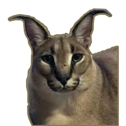 Big Floppa