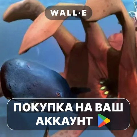 Акулы растут