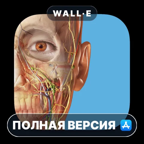 3D Human Anatomy Atlas 2026